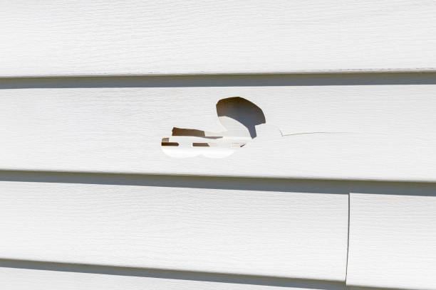 Best Custom Trim and Detailing for Siding  in Loyalhanna, PA