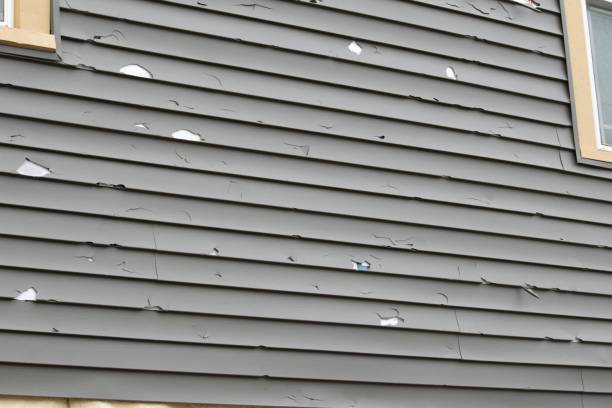 Professional Siding Installation & Repair in Loyalhanna, PA